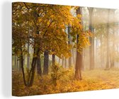 Canvas Schilderij Licht - Bomen - Bladeren - 60x40 cm - Wanddecoratie