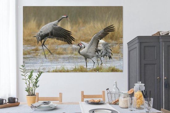 Grues européennes en eaux peu profondes Toile 180x120 cm - Tirage photo sur toile (Décoration murale salon / chambre) XXL / Groot format!