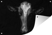 Tuindecoratie Portretfoto koe op zwarte achtergrond in zwart-wit - 60x40 cm - Tuinposter - Tuindoek - Buitenposter