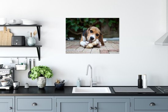 Beagle mâche un os Poster 90x60 cm - Tirage photo sur Poster (décoration murale salon / chambre) / Poster Animaux domestiques