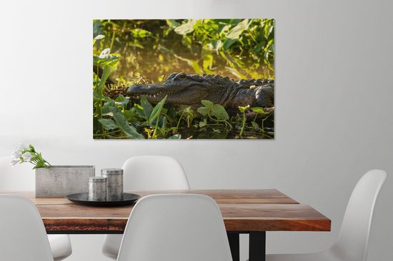 Alligator américain en toile nature 2cm 60x40 cm - Tirage photo sur toile (Décoration murale salon / chambre)
