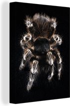 Canvas Schilderij Vogelperspectief van een tarantula - 30x40 cm - Wanddecoratie