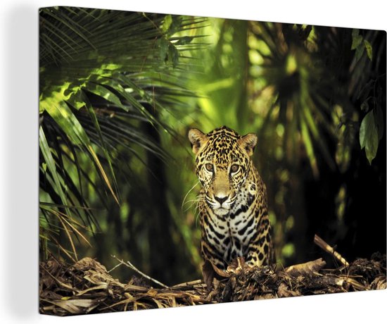 OneMillionCanvasses - Canvas - Jaguar - Jungle - Planten - Katachtig - Tropisch - Schilderijen op canvas - Kamer decoratie - 90x60