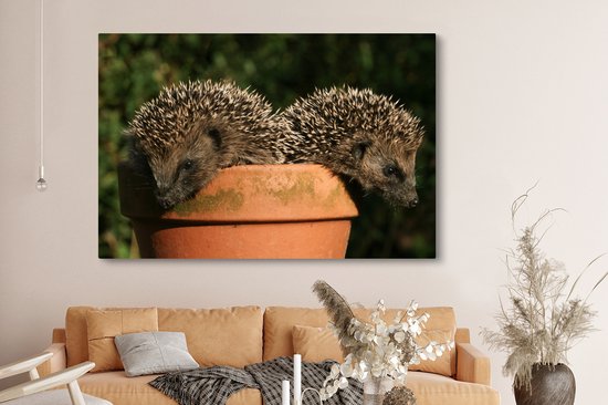 Tableau sur toile Deux hérissons sur un pot - 150x100 cm - Décoration murale