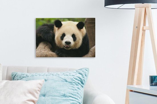 Canvas schilderij 30x20 cm - Wanddecoratie Dieren - Panda - Bomen - Muurdecoratie woonkamer - Slaapkamer decoratie - Kamer accessoires - Schilderijen op canvas