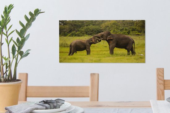 Deux éléphants de combat sur toile 2cm 30x20 cm - petit - Tirage photo sur toile (Décoration murale salon / chambre) / Animaux sauvages Peintures sur toile