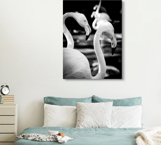 Gros plan de flamants roses en noir et blanc 120x160 cm - Tirage photo sur toile (Décoration murale salon / chambre) XXL / Groot format!