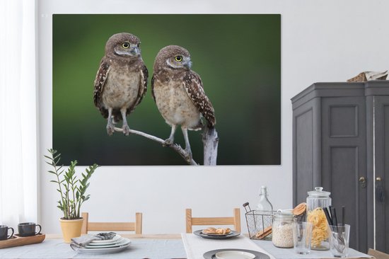 Tableau sur toile Deux hiboux des cavernes sur une branche - 150x100 cm - Décoration murale