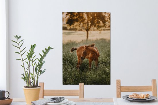 Quarter horse poulain regarde 40x60 cm - Tirage photo sur toile (Décoration murale salon / chambre) / Peintures sur toile Mammifères