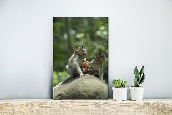 Singe avec toile de ramboutan 2cm 20x30 cm - petit - Tirage photo sur toile (Décoration murale salon / chambre)