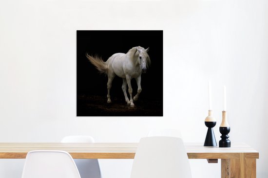 Cheval Wit devant une toile fond noir 2cm 50x50 cm - impression photo sur toile peinture Décoration murale salon / chambre à coucher) / Animaux sauvages Peintures Toile