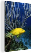 Tableau Peinture Poisson - Jaune - Corail - 60x90 cm - Décoration murale
