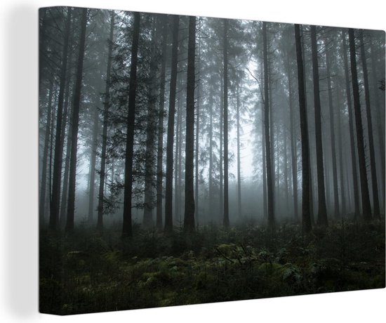 Sombre et brumeux forêt 120x80 cm - impression photo sur toile peinture Décoration murale salon / chambre à coucher) / Arbres Peintures Toile