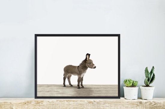 Fotolijst incl. Poster - Ezel - Dieren - Kinderen - Lief - Schattig - Meisjes - Jongens - 40x40 cm - Posterlijst