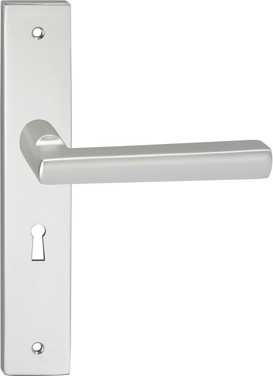 Zilverkleurige deurklink met rozet en sleutelgat.