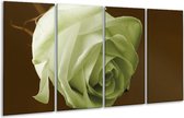 GroepArt - Glasschilderij - Roos - Groen, Wit, Bruin - 160x80cm 4Luik - Foto Op Glas - Geen Acrylglas Schilderij - 6000+ Glasschilderijen Collectie - Wanddecoratie