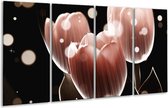Peinture sur verre tulipe | Marron noir | 160x80cm 4 Liège | Tirage photo sur verre |  F005004