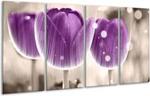 GroepArt - Glasschilderij - Tulp - Paars, Wit - 160x80cm 4Luik - Foto Op Glas - Geen Acrylglas Schilderij - 6000+ Glasschilderijen Collectie - Wanddecoratie