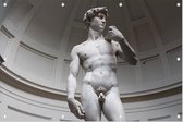 David, Michelangelo's meesterwerk in Florence - Foto op Tuinposter - 120 x 80 cm