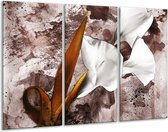 GroepArt - Schilderij -  Bloem - Bruin, Wit, Grijs - 120x80cm 3Luik - 6000+ Schilderijen 0p Canvas Art Collectie
