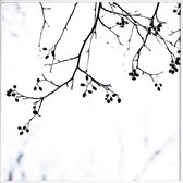 JUNIQE - Poster met kunststof lijst Winter Silhouettes 4 -30x30 /Wit &