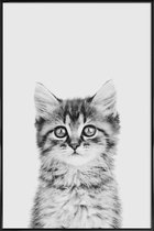 JUNIQE - Poster met kunststof lijst Kitten Classic -13x18 /Wit & Zwart