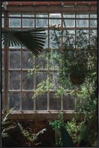 JUNIQE - Poster in kunststof lijst The Tropical Glasshouse -30x45