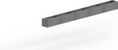 MySteel Verzinkt staal plantenbak Texas xxl 5000x300   - Hoogte: 800mm