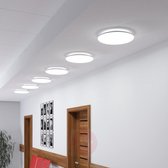 LED-plafondlamp 18W - Wit licht