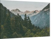 Misty Forest in the Mountains - Foto op Canvas - 90 x 60 cm