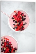 Dibond - Roze Smoothiebowl - 100x150cm Foto op Aluminium (Wanddecoratie van metaal)