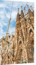 Gaudí's basiliek van de Sagrada Familia in Barcelona - Foto op Plexiglas - 40 x 60 cm