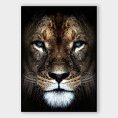 Poster Lion Close-up - Dibond - Meerdere Afmetingen & Prijzen | Wanddecoratie - Interieur - Art - Wonen - Schilderij - Kunst