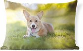 Buitenkussens - Tuin - Welsh Corgi-puppy - 50x30 cm