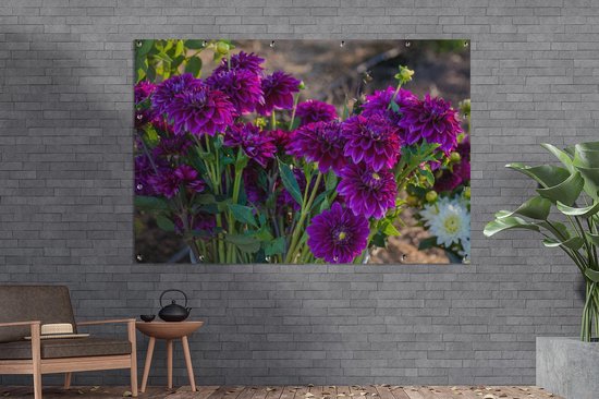 Affiche de jardin Bunch with Dahlias Toile en vrac