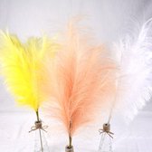 Gedroogd Gekleurd Pampa Gras Decoratie voor binnenhuis - 37gr - Zwart