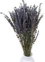 Gedroogde Lavendel Bundel Decoratie voor binnenhuis -  -