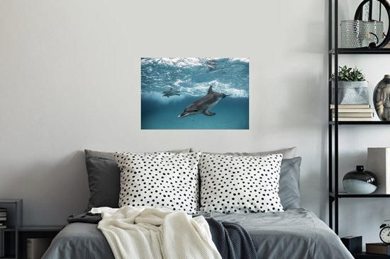 Sticker Muursticker Dauphin - Dauphins nageant près des Bahamas - 60x40 cm - film adhésif autocollant - sticker mural repositionnable