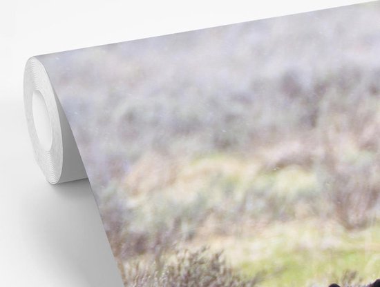 Papier peint vinyle - Un grizzli regarde autour de lui pour protéger les bébés largeur 330 cm x hauteur 220 cm - Tirage photo sur papier peint (disponible en 7 tailles)