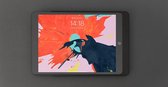 iPad wandhouder Dame Wall Home voor iPad 10.2 - Zwart