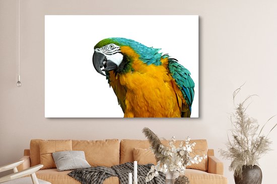Perroquet devant toile de fond blanc 2cm 180x120 cm - Tirage photo sur Toile (Décoration murale salon / chambre) / Animaux sauvages Peintures sur toile XXL / Groot format!