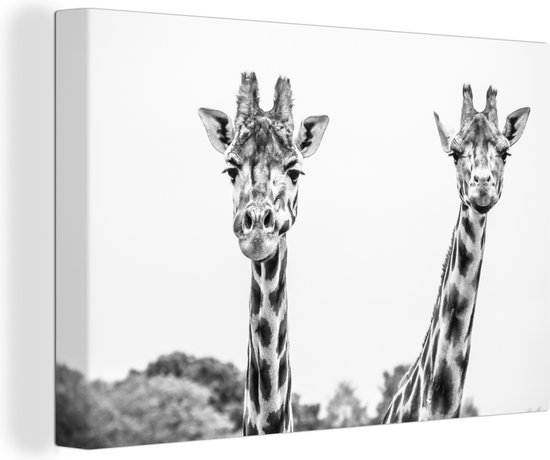Canvas schilderij 150x100 cm - Wanddecoratie Zwart-wit portret van twee giraffes - Muurdecoratie woonkamer - Slaapkamer decoratie - Kamer accessoires - Schilderijen