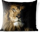Buitenkussens - Tuin - Portret van een leeuw op en zwarte achtergrond - 40x40 cm