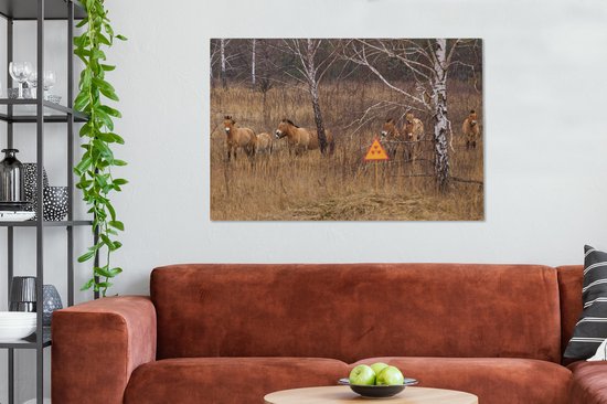Chevaux de Przewalks à Tchernobyl 140x90 cm - Tirage photo sur toile peinture (Décoration murale salon / chambre) / animaux sauvages Peintures sur toile