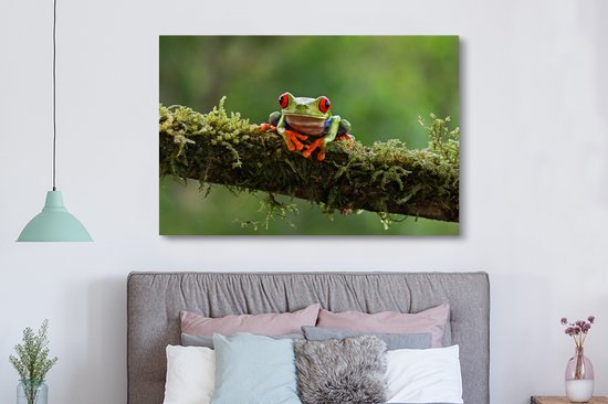 Grenouille d'arbre aux yeux rouges sur toile de branche couverte 2cm 150x100 cm - Impression photo sur toile (Décoration murale salon / chambre) / Peintures sur toile animaux sauvages