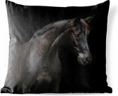 Buitenkussens - Tuin - Portret van een paard op een zwarte achtergrond - 50x50 cm