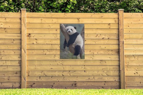 Jeune panda dort dans un arbre 60x90 cm