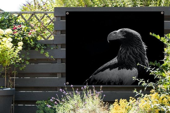 Affiche jardin - Toile jardin - Posters de jardin extérieur - Aigle - Gros plan - Bec - 120x90 cm - Jardin