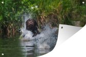 Le labrador brun saute dans le jardin d'eau affiche toile en vrac 60x40 cm - petit - toile de jardin / toile d'extérieur / Peintures pour l'extérieur (décoration de jardin)