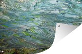 Tuindecoratie Prachtige kleurrijke rijstvelden onder water in China - 60x40 cm - Tuinposter - Tuindoek - Buitenposter